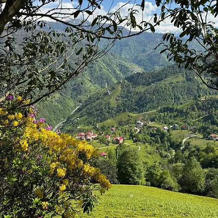 Pera Bed & Breakfast Ardeşen